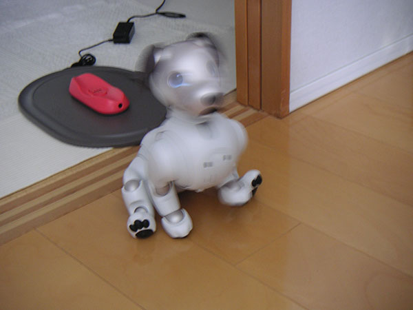aibo ERS-1000 初期設定から動くまで | パソコン坊主
